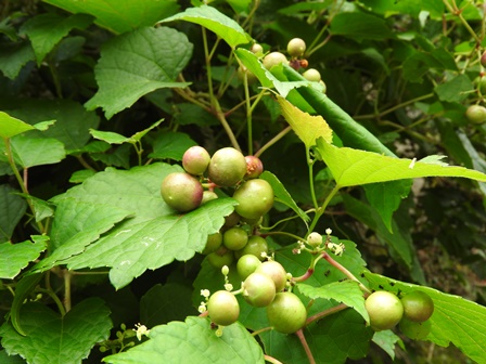 a0123836_13274037.jpg