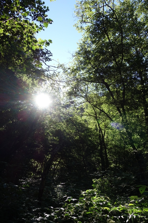a0287336_13425792.jpg