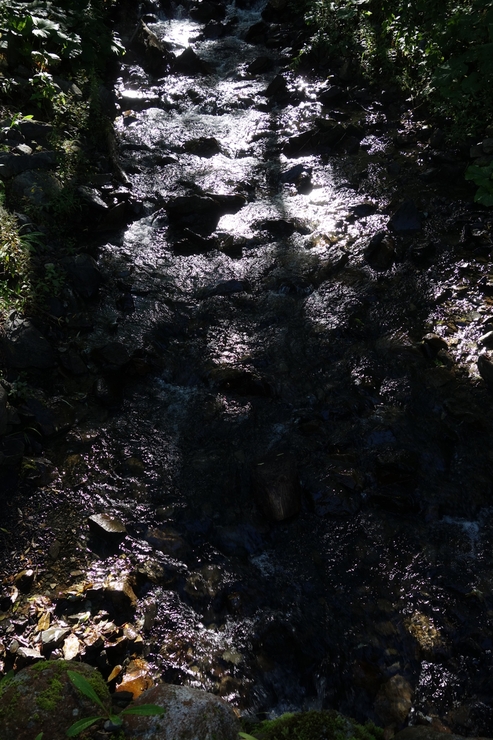 a0287336_13435217.jpg