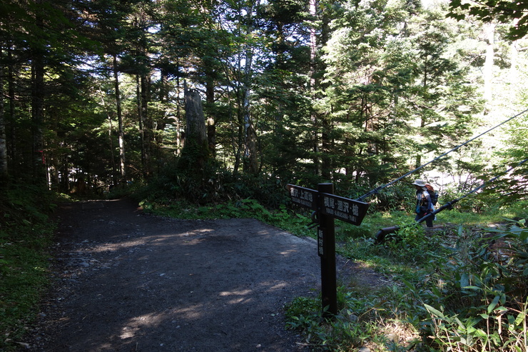 a0287336_13561439.jpg