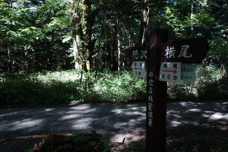 長野県に癒やされよう 2日目 その3～横尾を離れ、明神方向へ_a0287336_1411061.jpg