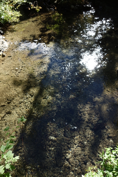 a0287336_1415880.jpg
