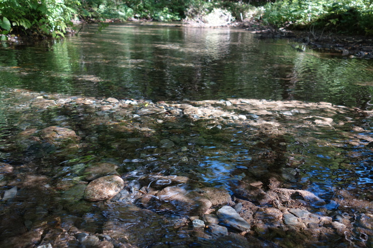 a0287336_14211140.jpg