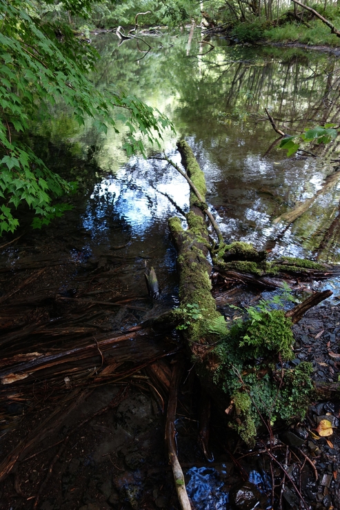 a0287336_1429030.jpg