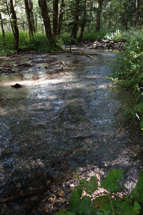 a0287336_14334114.jpg