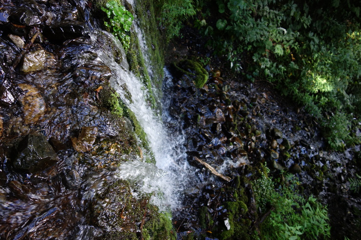 a0287336_1436960.jpg