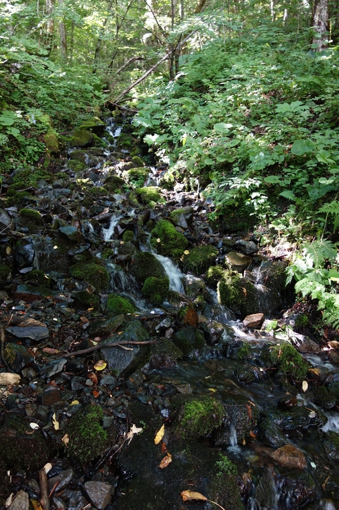 a0287336_14371985.jpg
