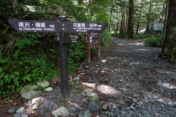 a0287336_1438154.jpg