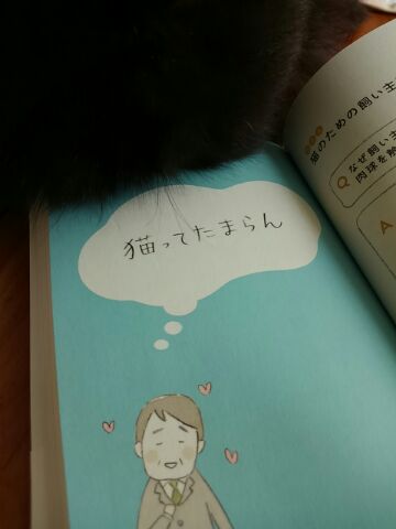 もみかえし_d0152937_22243621.jpg