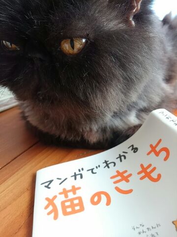 もみかえし_d0152937_22243671.jpg