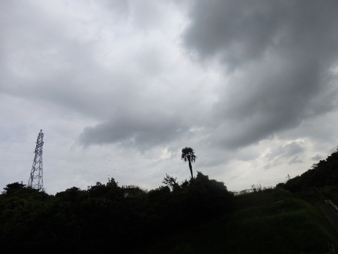 a0054240_22404928.jpg