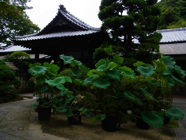 a0087341_15103032.jpg