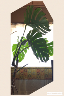 c0179841_1443539.png