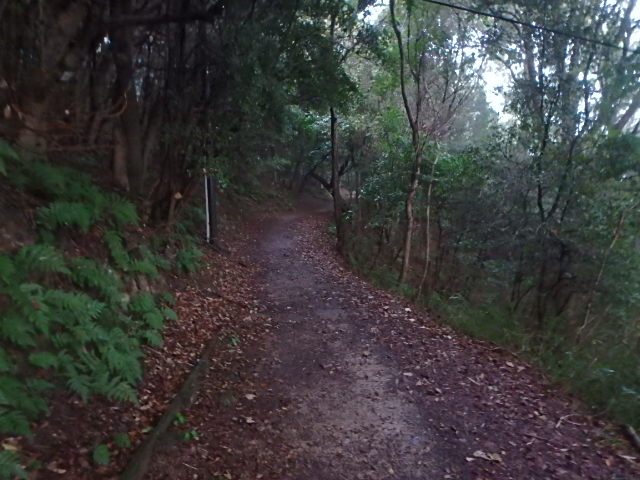 f0334143_21103712.jpg