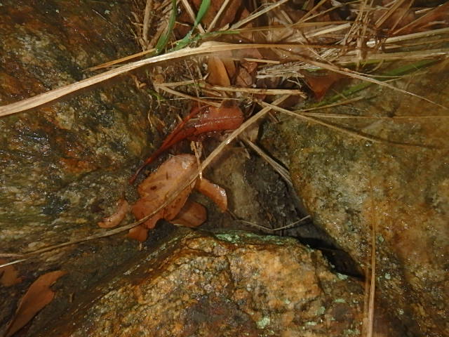 f0334143_21125651.jpg