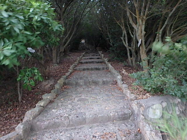 f0334143_2152269.jpg