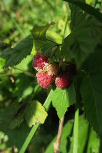 e0356046_03543355.jpg