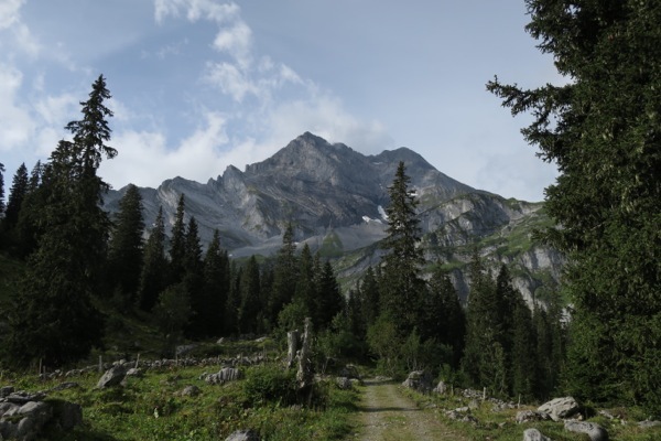 e0356046_03544043.jpg