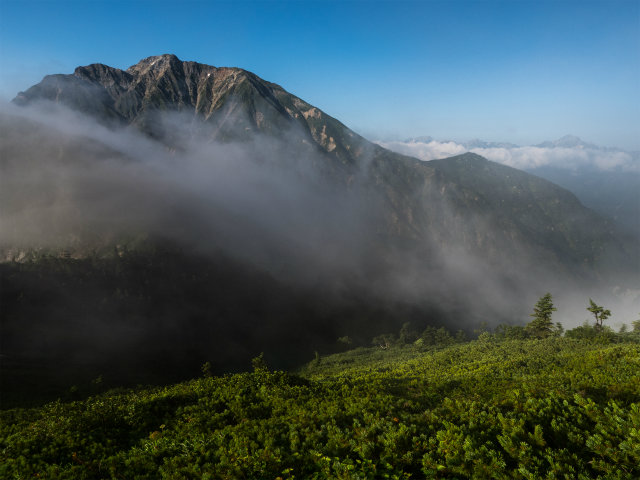 2016夏の後立山縦走～唐松編～_e0151447_20422644.jpg