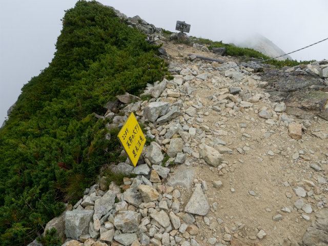 2016夏の後立山縦走～唐松編～_e0151447_21292058.jpg