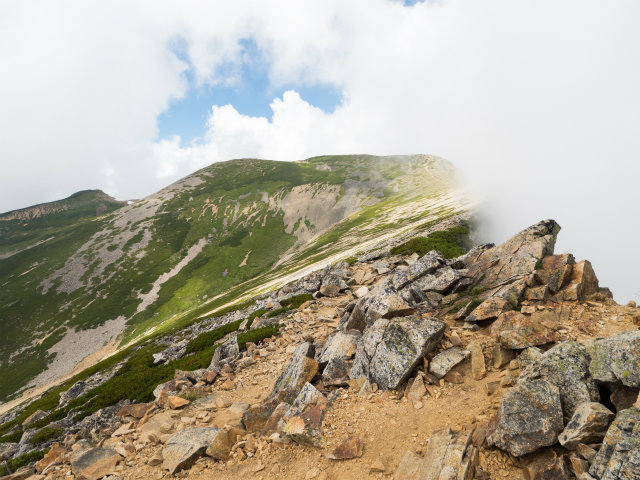 2016夏の後立山縦走～唐松編～_e0151447_21295821.jpg