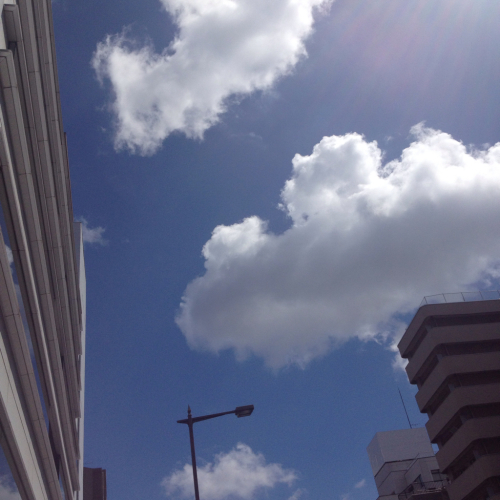 f0237452_00541450.jpg