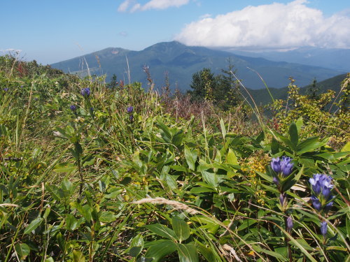 b0335256_20252340.jpg