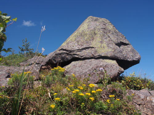 b0335256_20273241.jpg