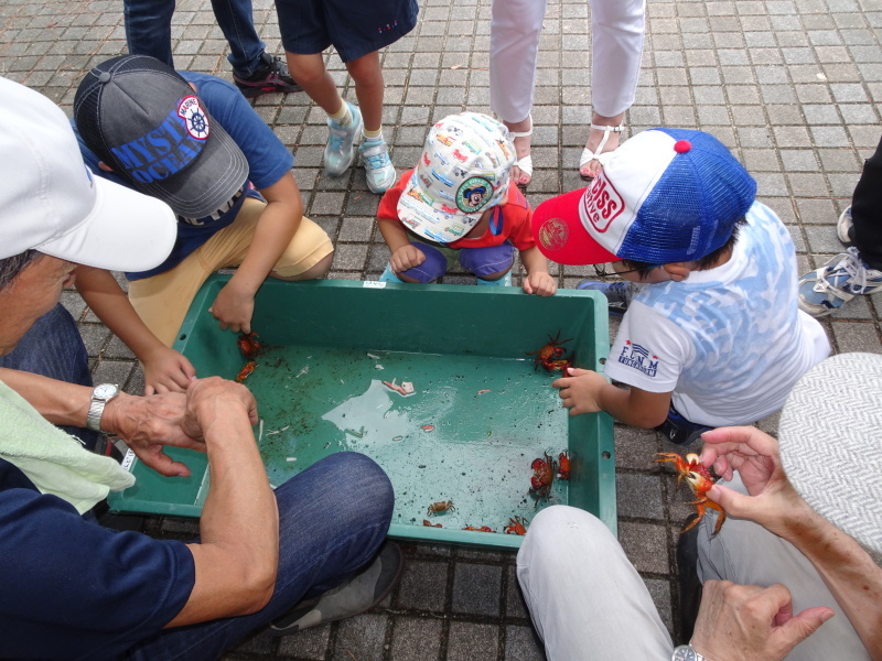 「第4回せんなん里海さくらフェス」in『カニカニウォッチング』・・・うみべの森を育てる会_c0108460_19054089.jpg