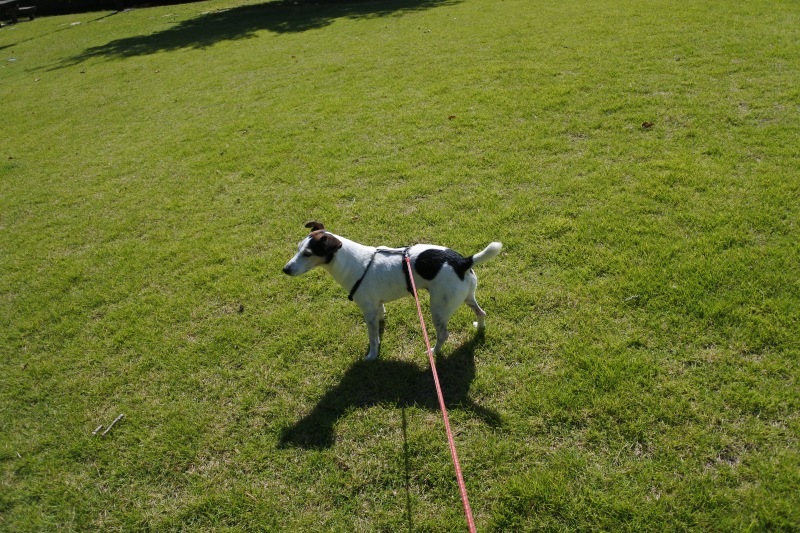 c0140260_21515917.jpg