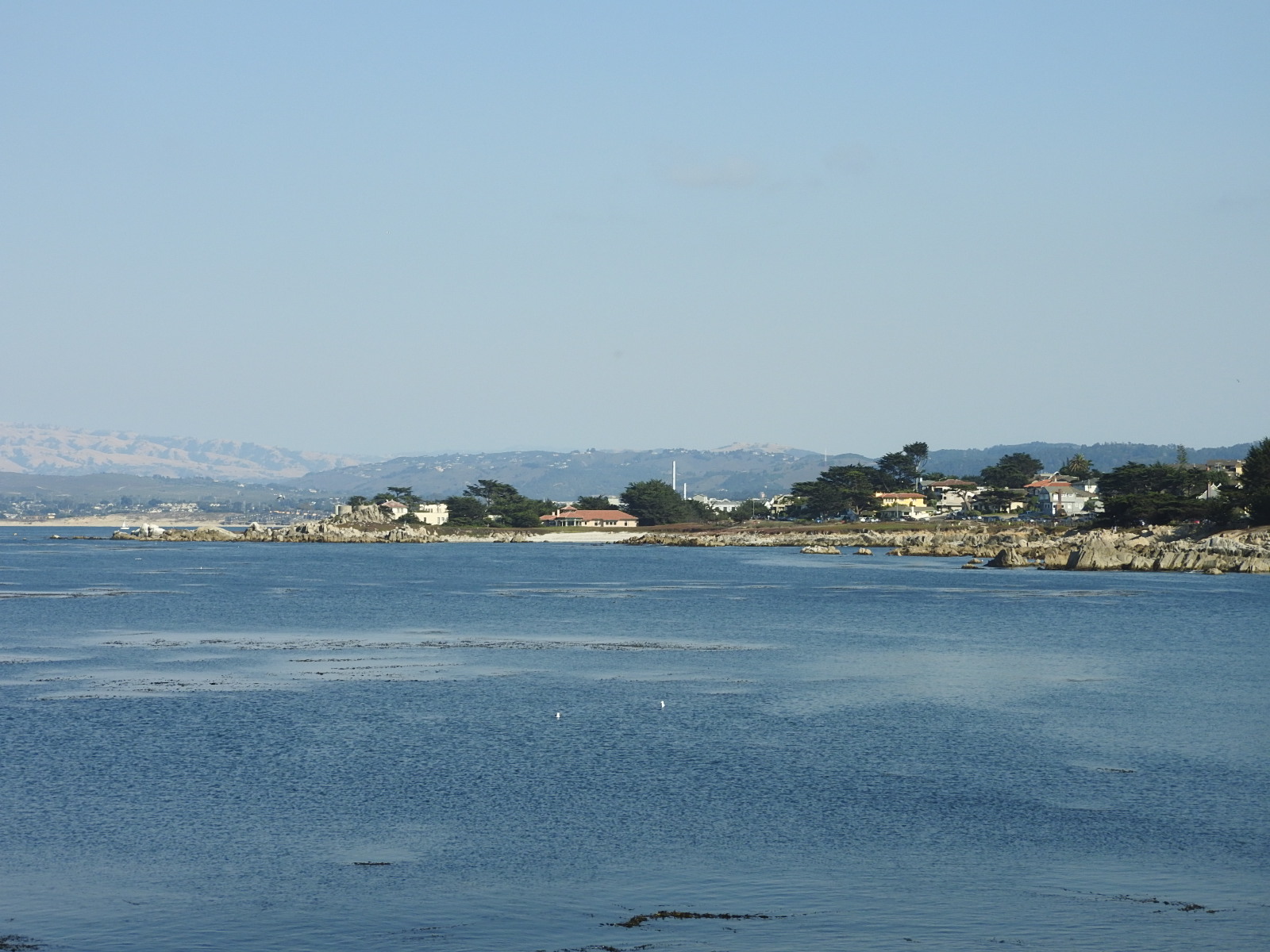 Pacific Grove @ Monterey_c0115366_1240773.jpg