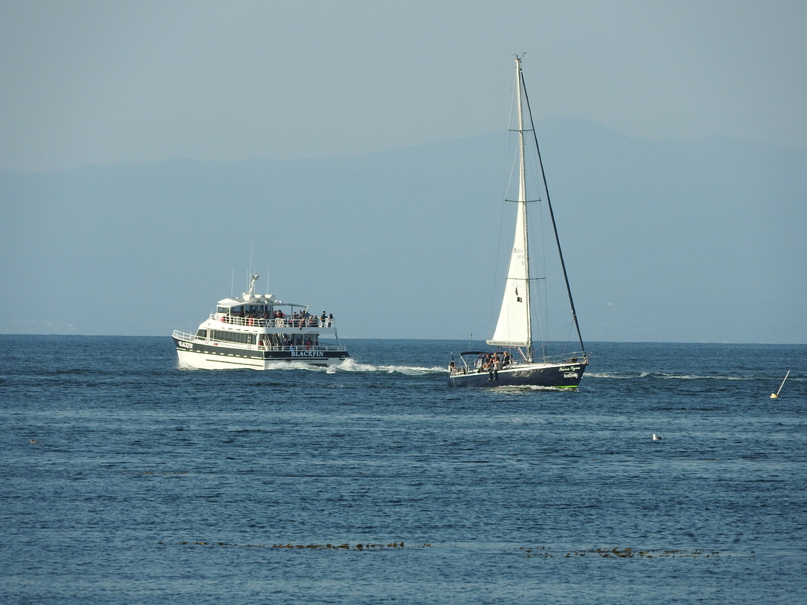 c0115366_1301212.jpg