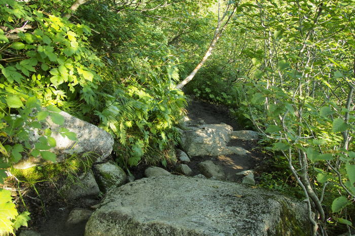 e0307372_16575994.jpg