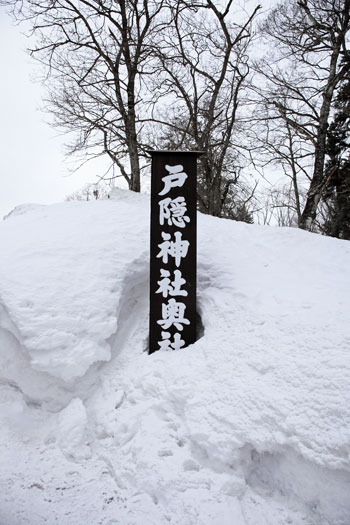 f0127273_20201760.png