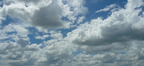 a0307675_1173880.jpg