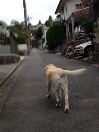 f0315081_22502548.jpeg