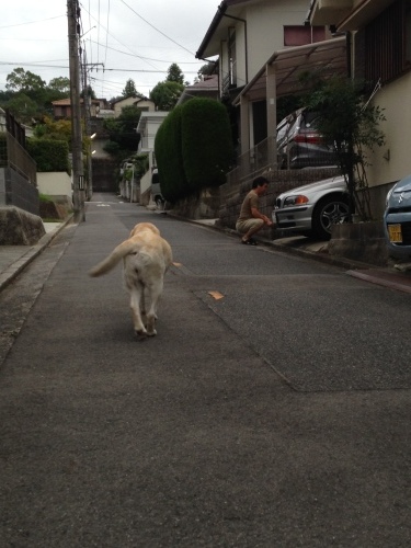 f0315081_22505046.jpeg