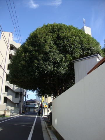 c0322794_9461669.jpg