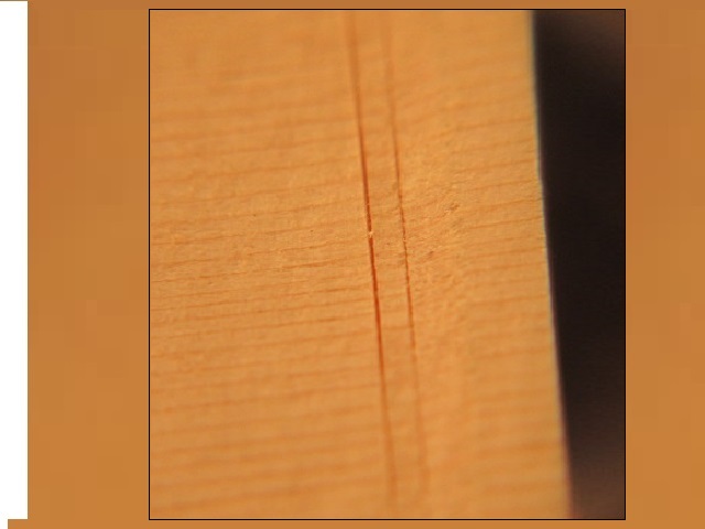 d0040395_17261346.jpg