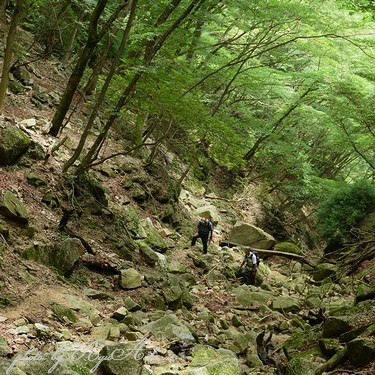 鎌ヶ岳へ登る_f0332795_09135258.jpg