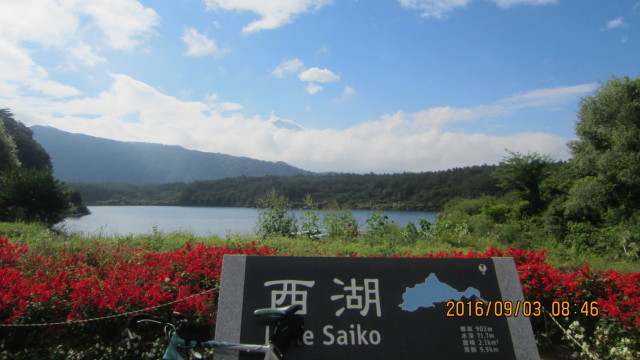 c0133096_21163093.jpg
