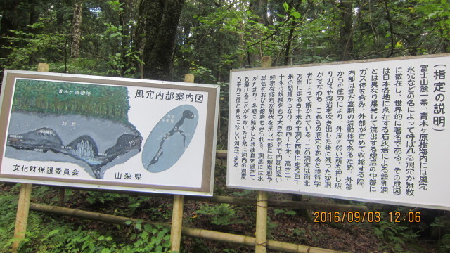 c0133096_21460363.jpg