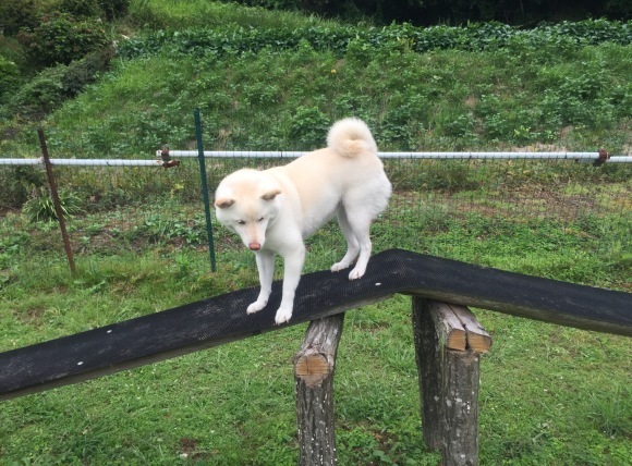 b0188998_19272022.jpeg