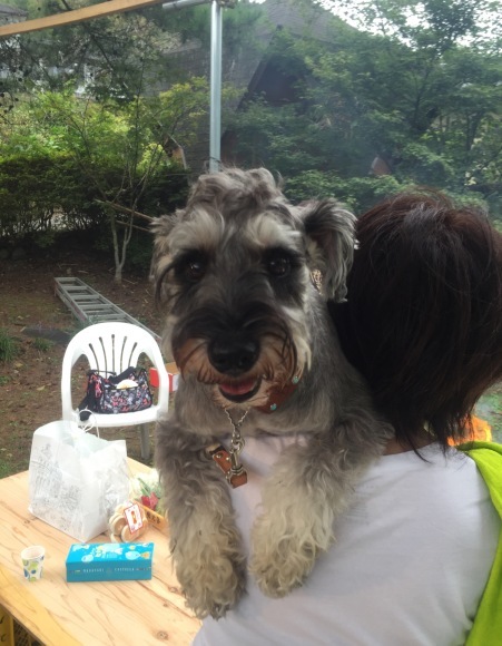 b0188998_19295420.jpeg