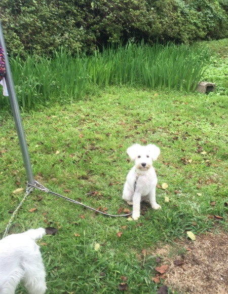 b0188998_19301602.jpeg