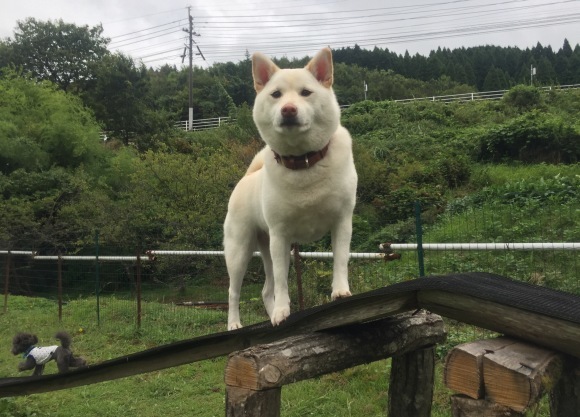 b0188998_19313310.jpeg