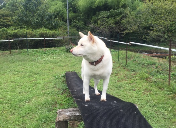 b0188998_19314668.jpeg