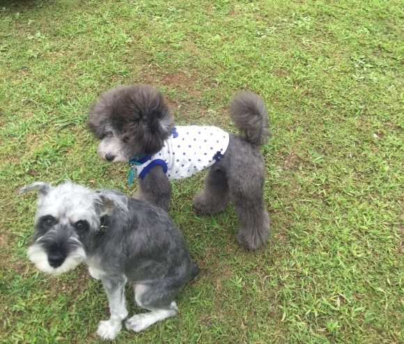 b0188998_21174512.jpeg