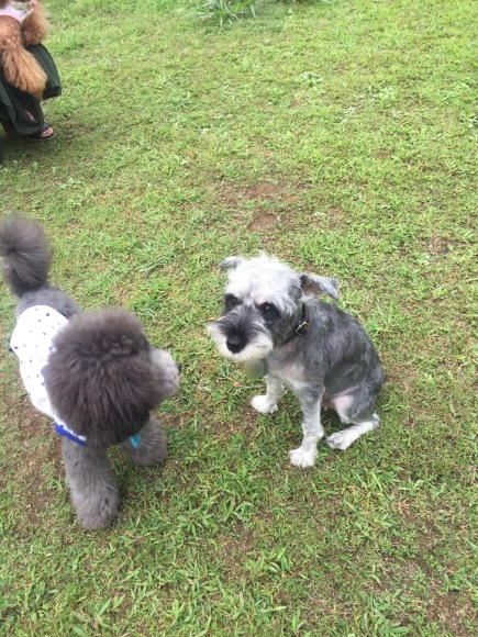 b0188998_21182073.jpeg