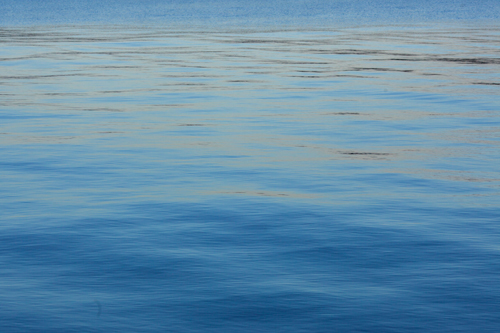 f0003598_19204560.jpg